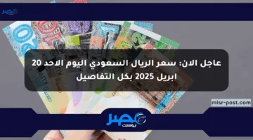 عاجل الآن: سعر الريال السعودي اليوم الأحد 20 أبريل 2025 بكل التفاصيل